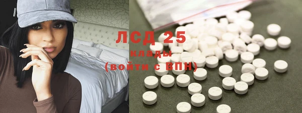индика Абаза