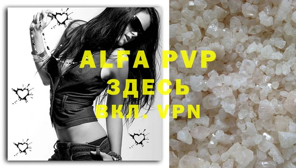 индика Абаза
