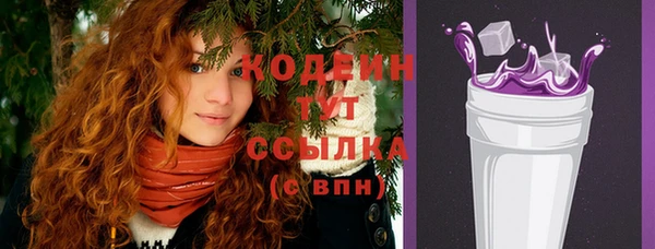 индика Абаза