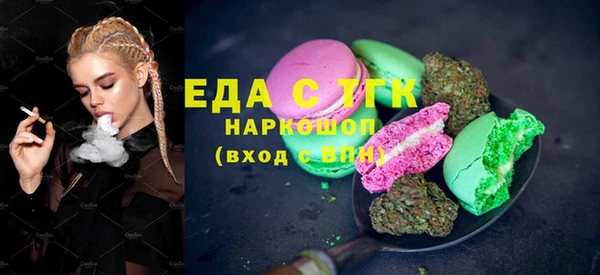 индика Абаза