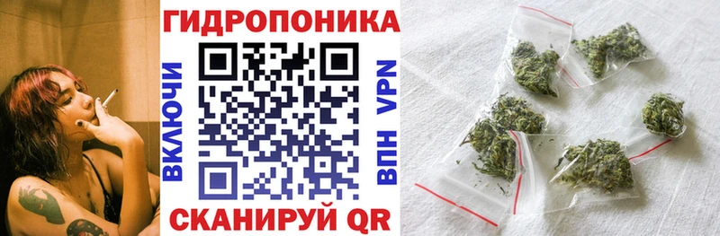 Бошки марихуана план  Тетюши 